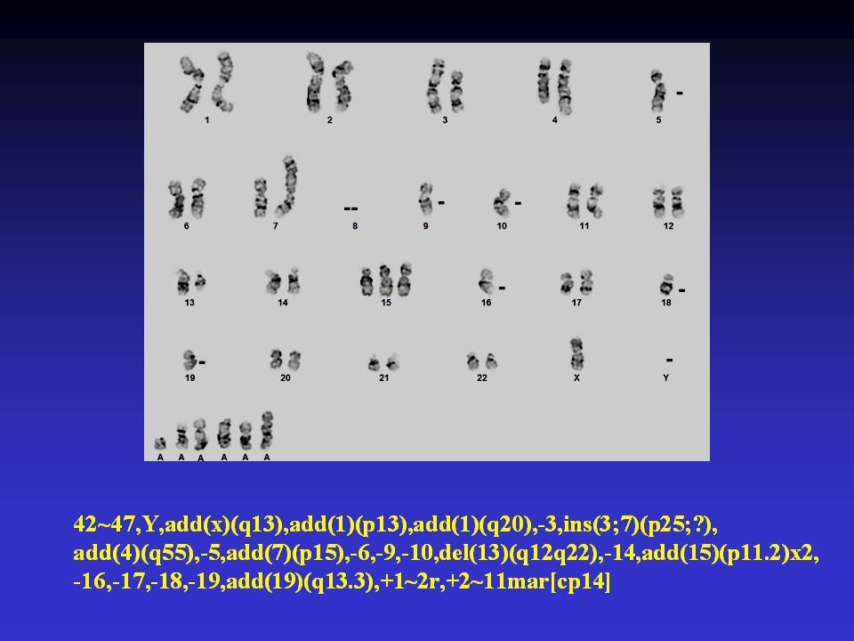 Fig. 3. A complex karyotype